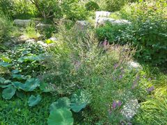 -燕郊植物园