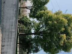 -上海崧泽遗址博物馆