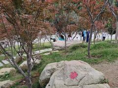 -广州市帽峰山景区