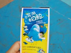 -芜湖新华联大白鲸海洋公园