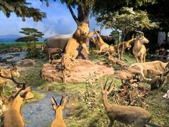 -国家自然博物馆