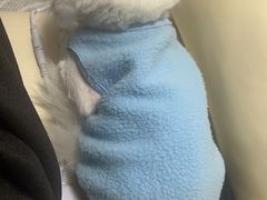 -瑞派康怡24h宠物医院·犬猫医疗中心·微创绝育(瑞景分院)
