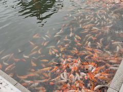 -长春市南湖公园