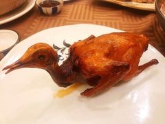 红烧乳鸽-沙龙酒家