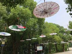 -溱湖国家湿地公园