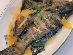 -舟山小海鲜大排档(稻香新村店)