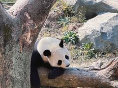 -宁波野生动物园