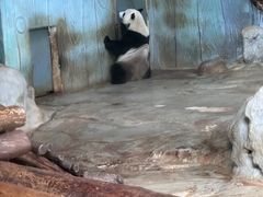-海南热带野生动植物园