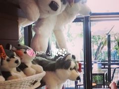 -TrueLove @ Neverland (Husky Cafe)