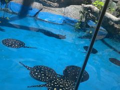 -泉城欧乐堡海洋极地世界