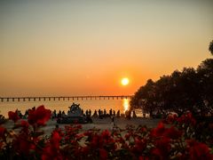 -宝安西湾红树林湿地公园