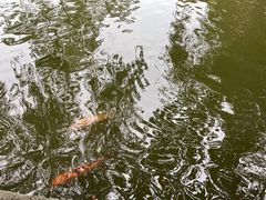 -星海公园(番禺区)