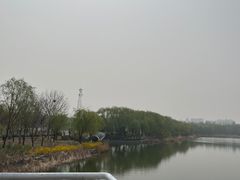 -大兴滨河森林公园