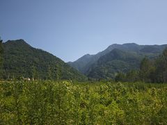 -大围山国家森林公园