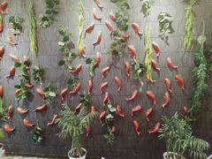 -小龙坎老火锅(北京三里屯店)