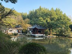 -汇龙潭