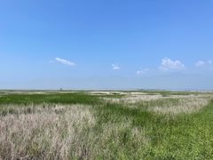 -野鸭湖国家湿地公园