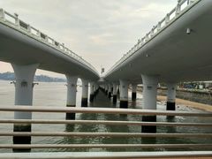 -演武大桥观景平台