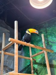 -Zoolung Zoolung动物主题公园(海信广场店)