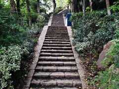 -泰州凤城河风景区-泰山公园