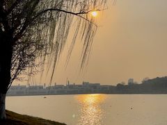 -羊山湖公园