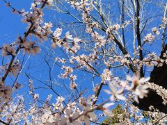 -周口店北京人遗址公园