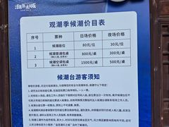 -观潮胜地公园