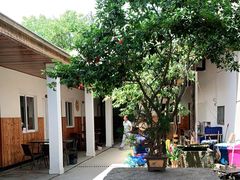 -李东农庄(中南百草园地标店)