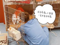 -泰洋动物医院·神经专科·磁共振·CT(天河公园总院)