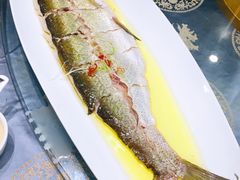 -金熙楼(熙南里店)