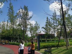 -府河摄影公园