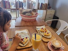 -Cappucimeow猫咪咖啡馆(韦伯时代店)
