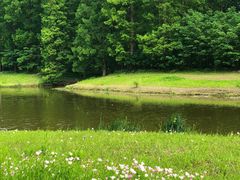 -黄海国家森林公园