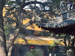 -普陀山风景名胜区-法雨禅寺