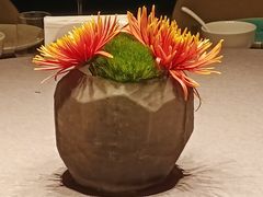 -南堂馆·新川菜(春熙路店)