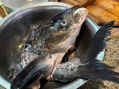 -好灶头妈妈菜·柴火灶台鱼·千岛湖土菜地标美食