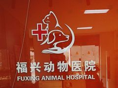 -瑞派福兴宠物医院犬猫全科·骨科·中西医结合(河东店)