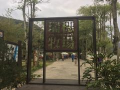 -瑞穗牧场