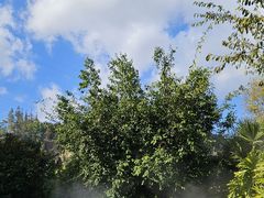 -腾冲洞山温泉村