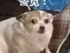 -S Team剧情密室(杭州龙翔桥店)