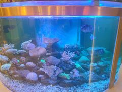 -碧中海汤泉汗蒸酒店