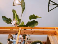 -长颈鹿咖啡(大学路店)