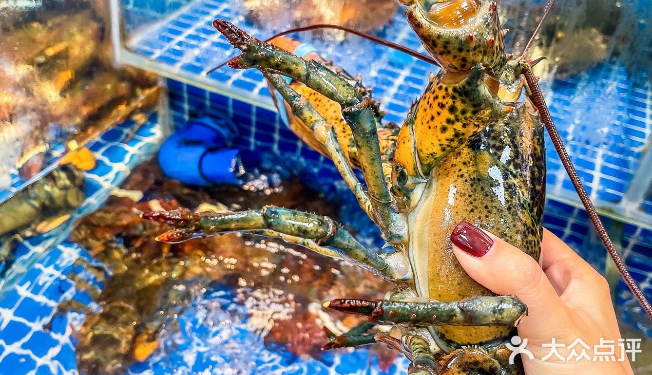 广州本地人才去吃的非网红海鲜酒楼！🐠🐠