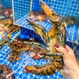 广州本地人才去吃的非网红海鲜酒楼！🐠🐠