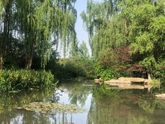 -习家池