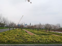 -上海山野camping·户外天幕烧烤·团建拓展营地