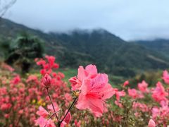 -篁岭景区