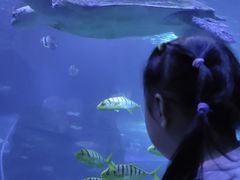 -太平洋海底世界