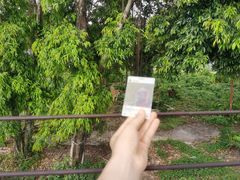 -东莞香市动物园