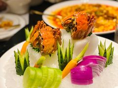 -甄御•海鲜新青岛菜(麦岛店)